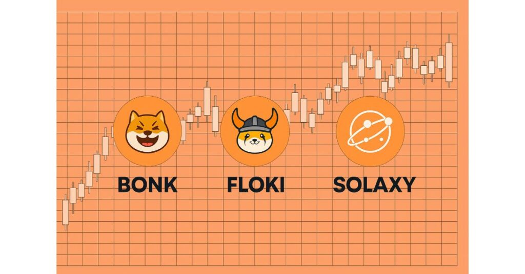 bonk, floki, solaxy
