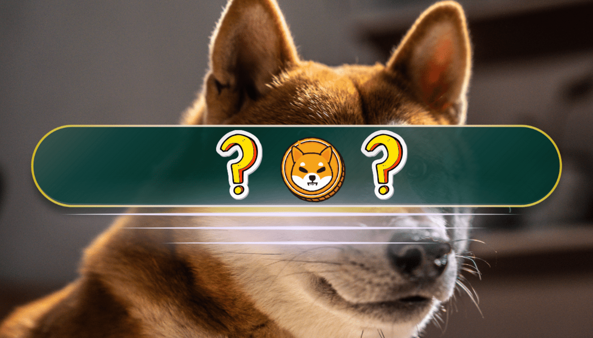 Кой меме койн може да измести Shiba Inu от върха на класацията?
