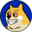 Maxi Doge